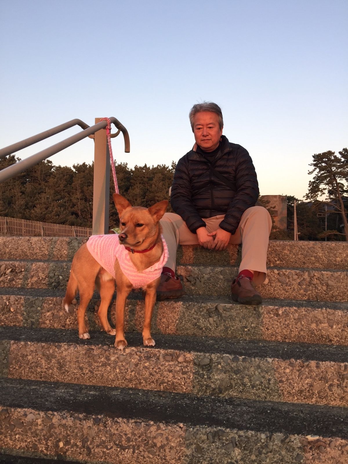 夕陽を浴びて、瞑想する愛犬ハッピー❣️