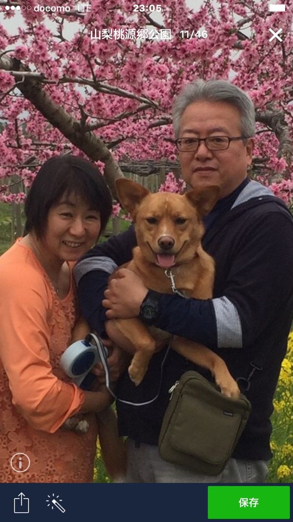 日本「「みさか桃源郷公園　2016」」の写真：１年前、垂れていた耳も、ピンとしています‼️