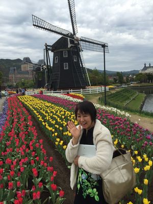 ハウステンボスで、チューリップ🌷とイルミネーション両方が見れるのは、この時...