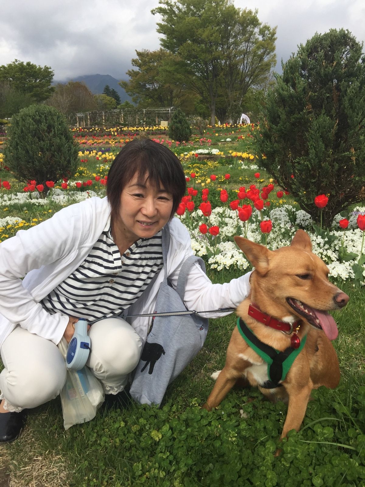 旧山梨県立フラワーセンターの頃から、よく行っています。