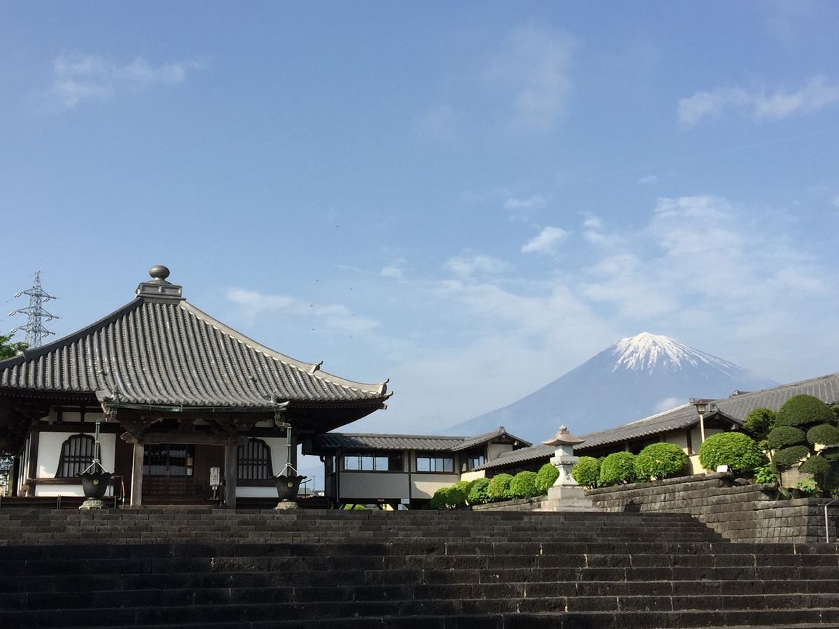 初めて行きました。見頃を過ぎてしまいましたが、立派な藤棚です。来年も来よう！