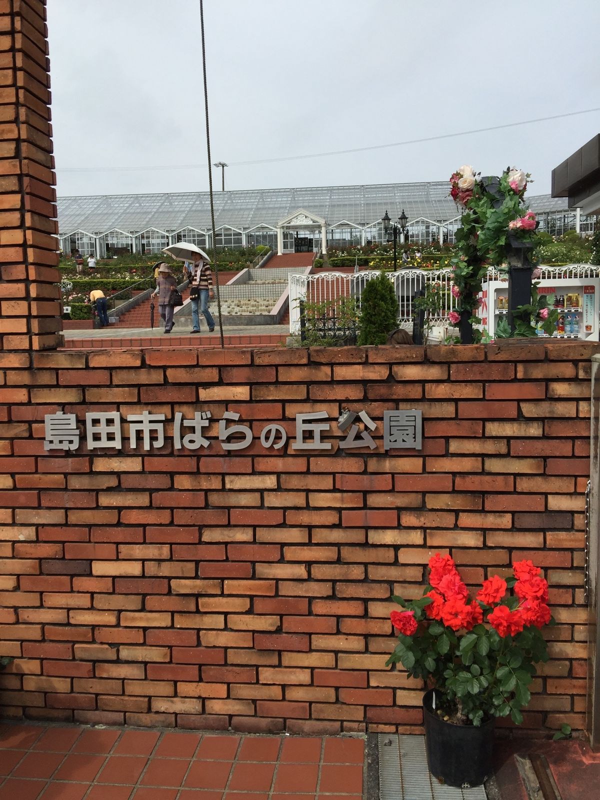 お手入れありがとう😊