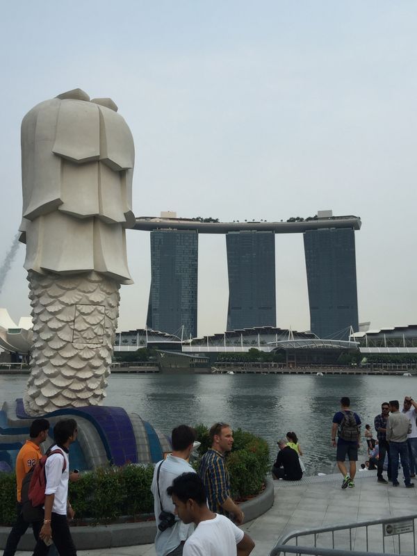 シンガポール「「シンガポール　弾丸出張」」の写真：初めて見たマリーナベイサンズに圧倒される...