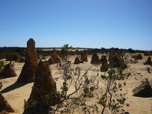 どこまでも続く道を行くと突然現れる奇岩の数々、ピナクルズ。in WA