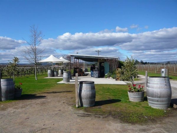 オーストラリア連邦「Ta!!!Australia」の写真：スワンバレーでワイナリー巡り。in WA...