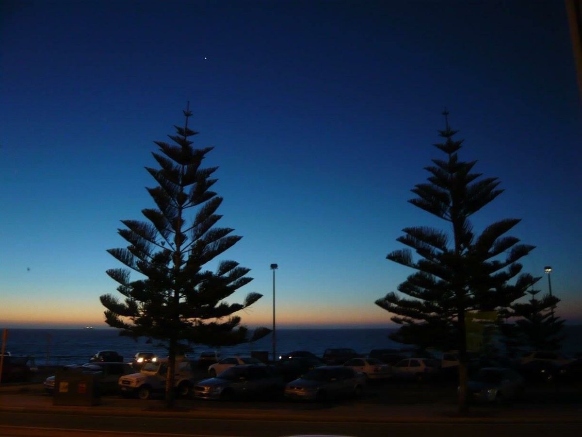 ペリカンがその辺にいる高級住宅地のマンデュラ。in WA
どの家もボード持...