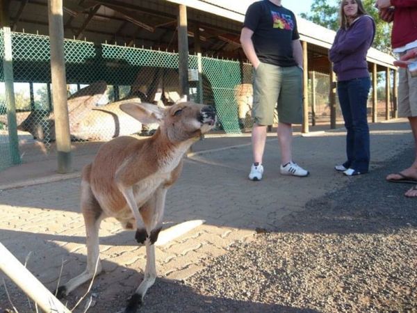 オーストラリア連邦「Ta!!!Australia」の写真：アリススプリングス。in NT
メルボル...