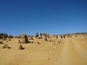どこまでも続く道を行くと突然現れる奇岩の数々、ピナクルズ。in WA