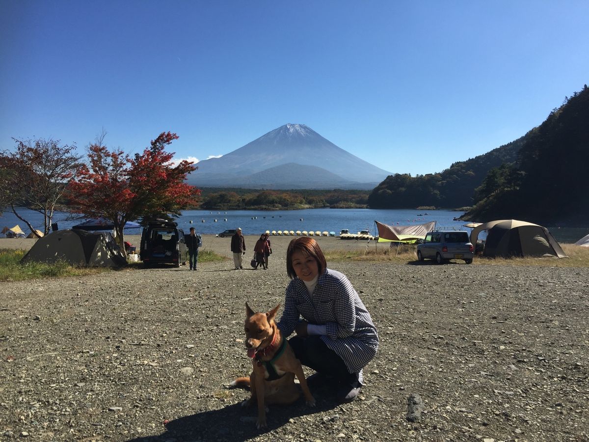 紅葉🍁は、青空に映える‼️