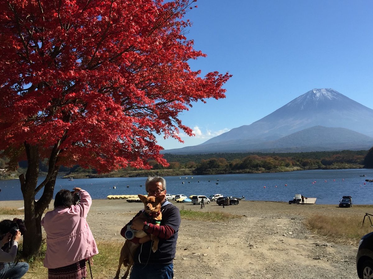 紅葉🍁は、青空に映える‼️