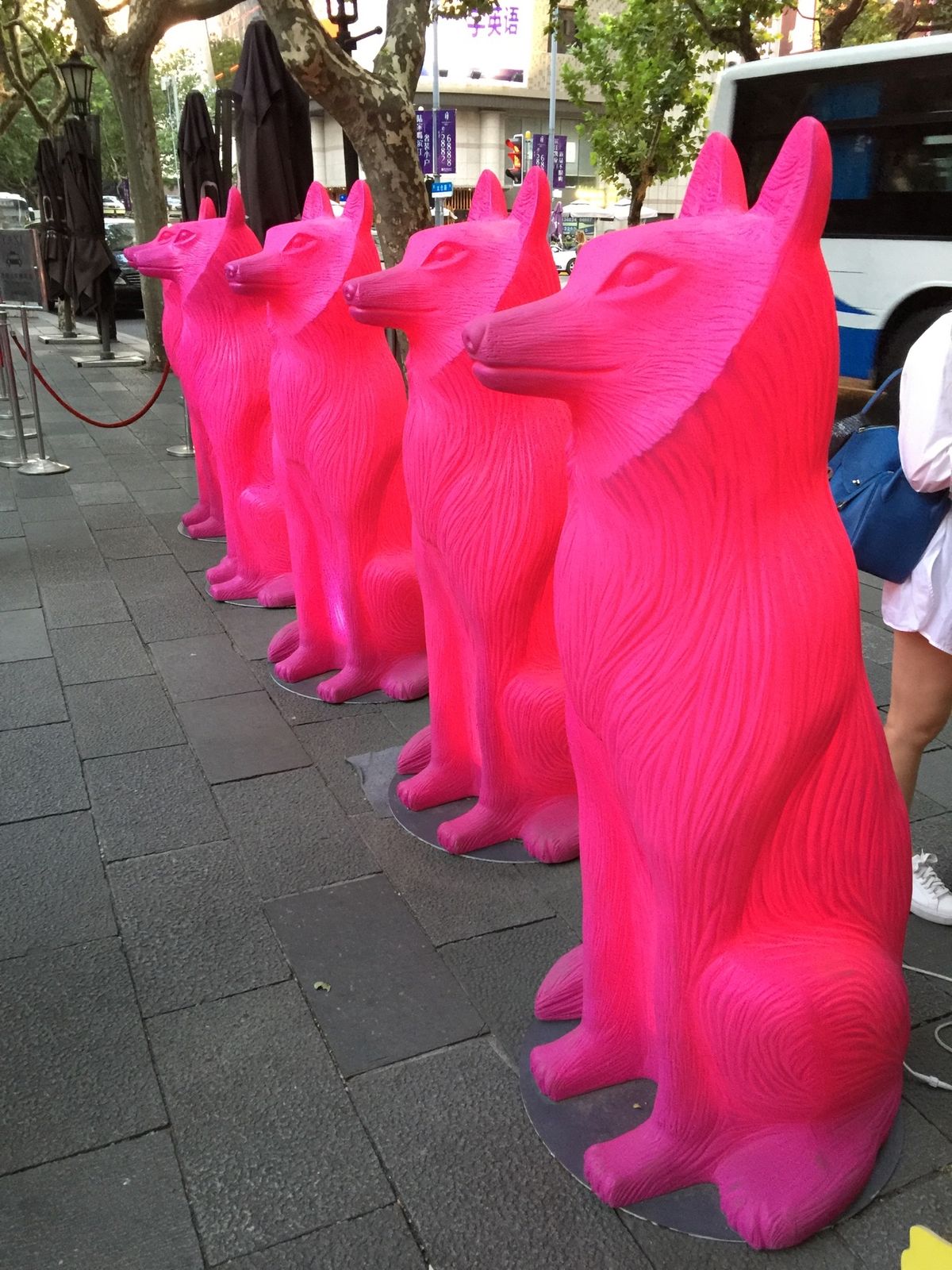 映えするスポットだらけ！