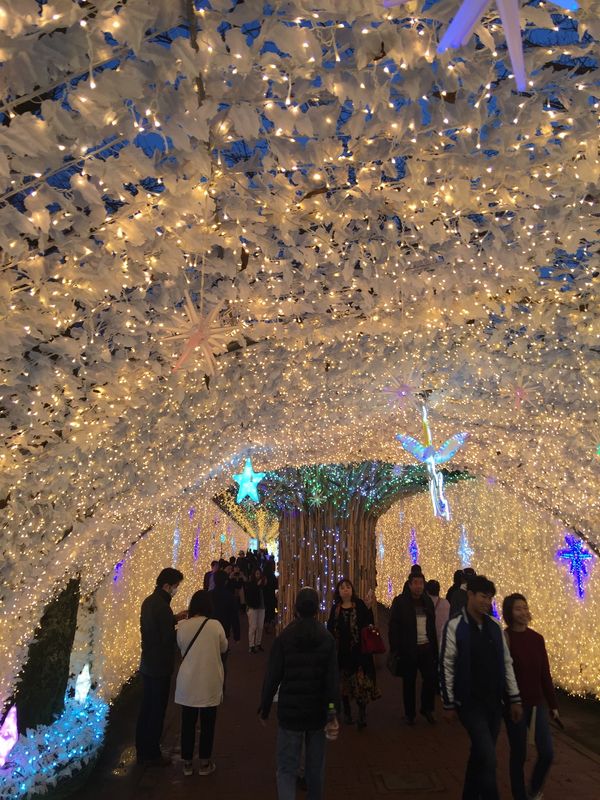 日本「「御殿場　時之栖　イルミネーション」」の写真：今年もパワーアップしてます。