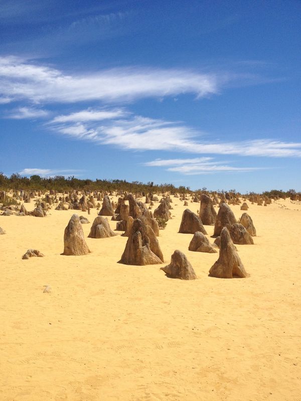 オーストラリア連邦「Pinnacles Desert, WA」の写真