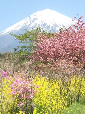 GW始まり。天気はバッチリ👌