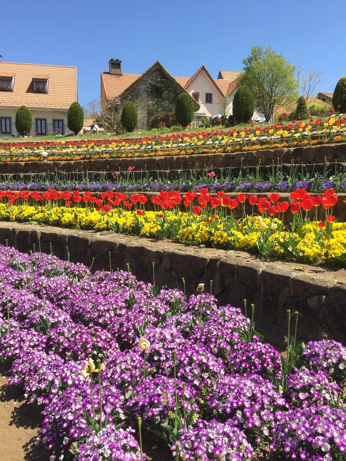 お花💐🌸🌼いっぱい❣️