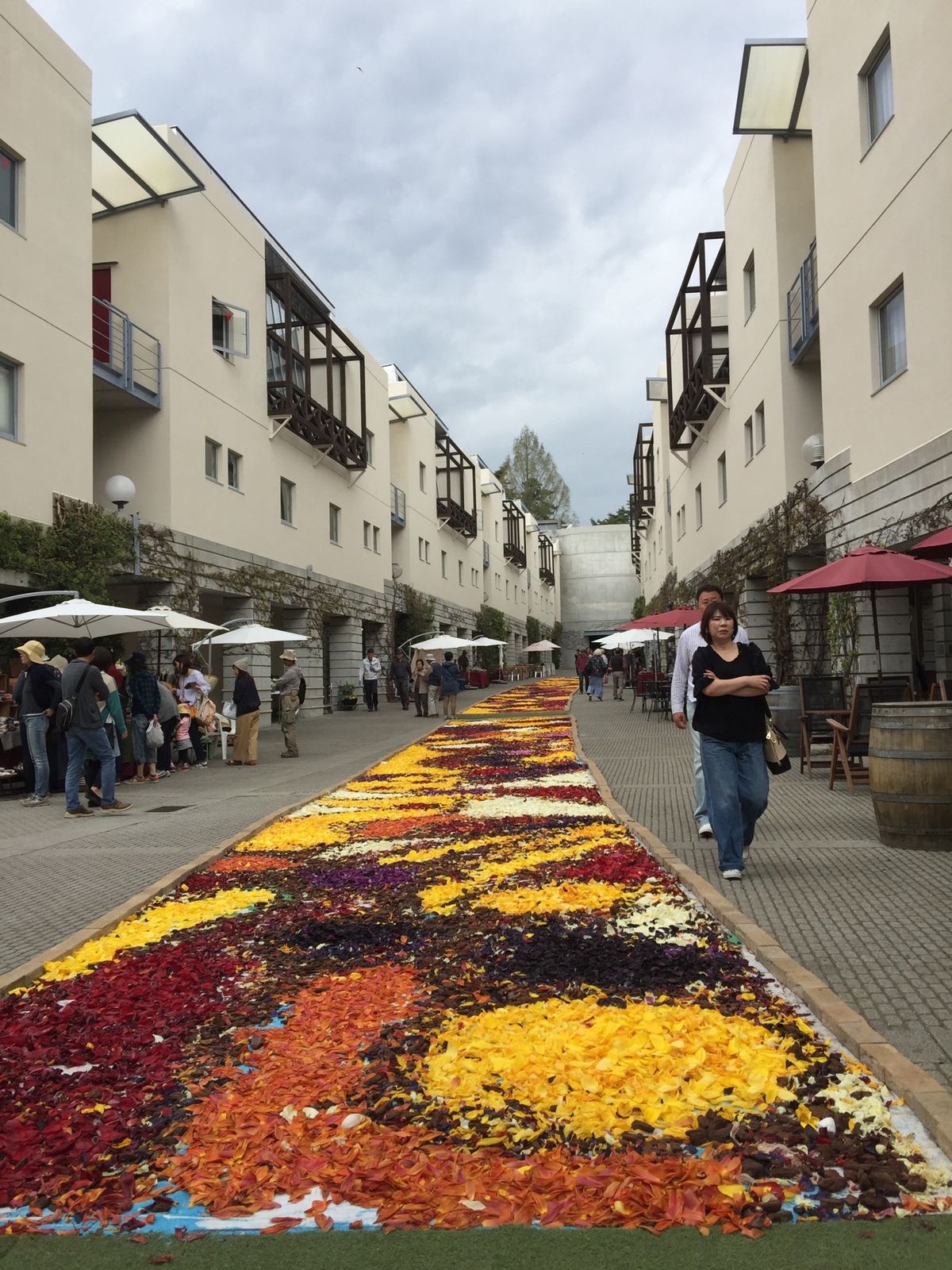 お花💐🌸🌼いっぱい❣️