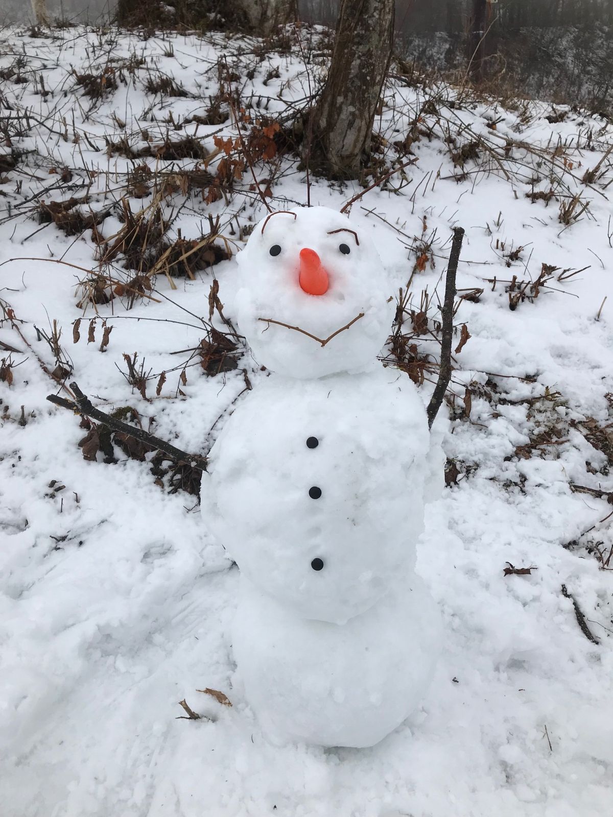 アナと雪の女王2映画公開キャンペーンでオラフを作りました。