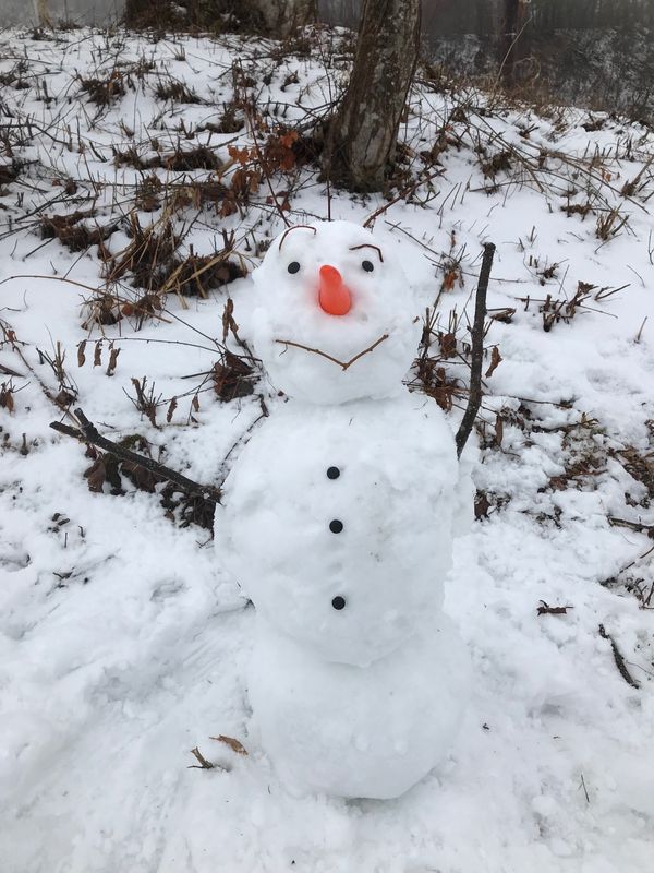 福島「福島」の写真：アナと雪の女王2映画公開キャンペーンでオ...