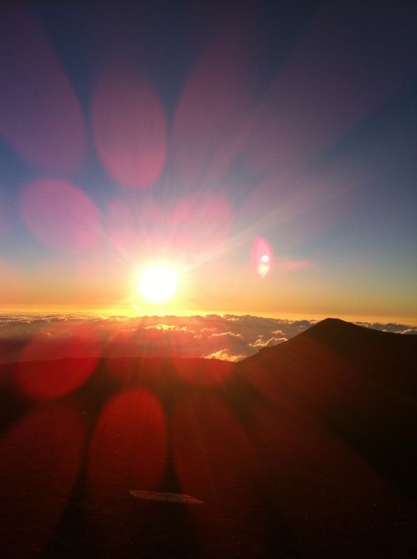 アメリカ(米国)・ホノルル、「ハワイ」の写真