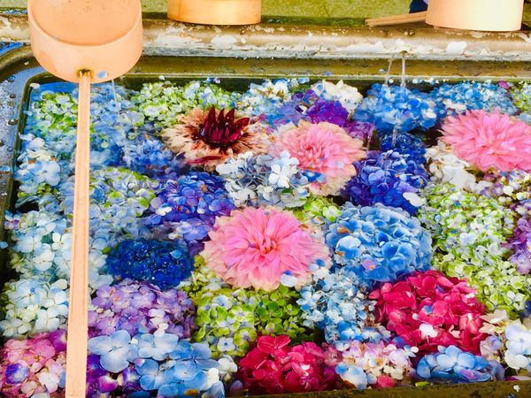 日本・福岡県「春日神社」の写真