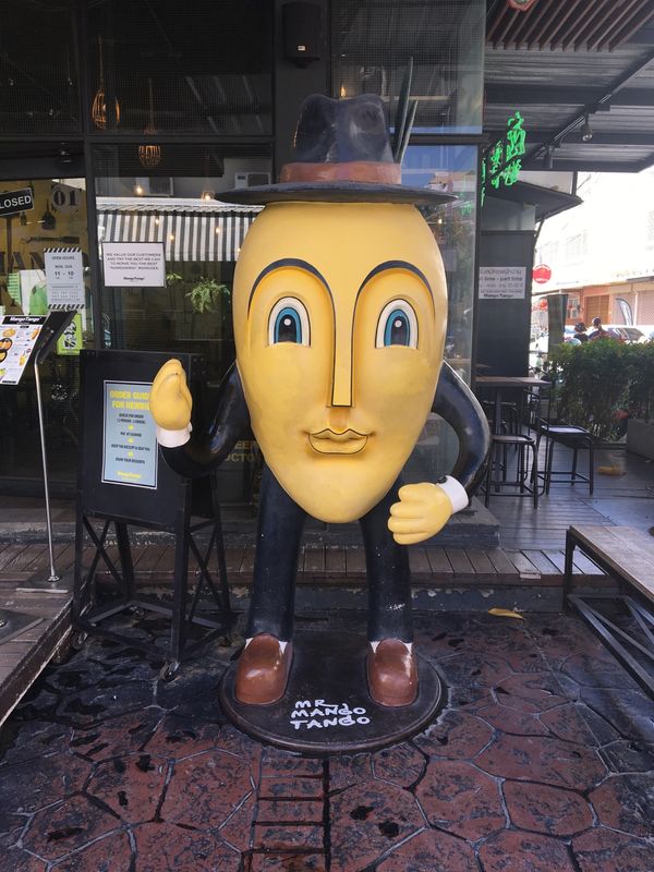 タイ・チェンマイ「タイ」の写真