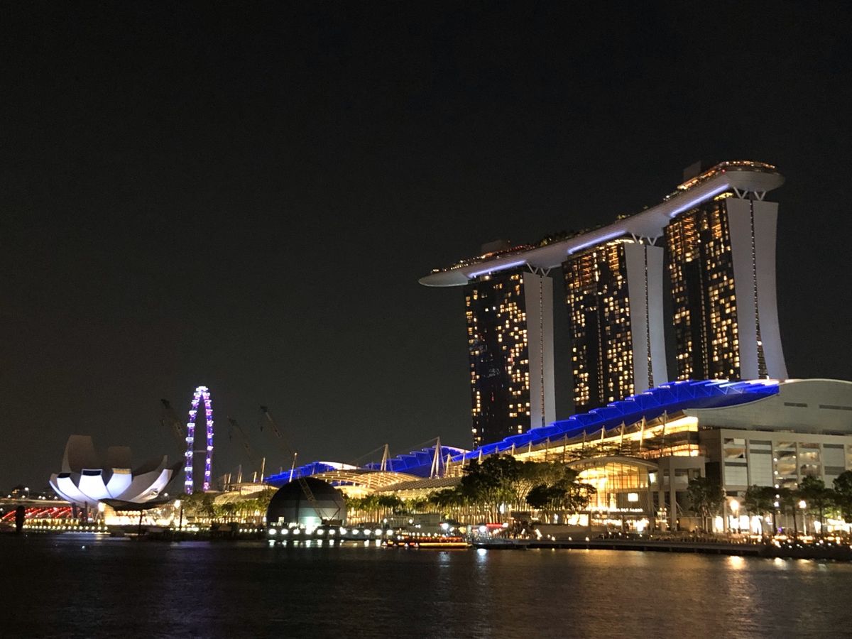 近未来的な巨大植物園「ガーデンズ・バイ・ザ・ベイ」と独特な景観で有名なホテ...