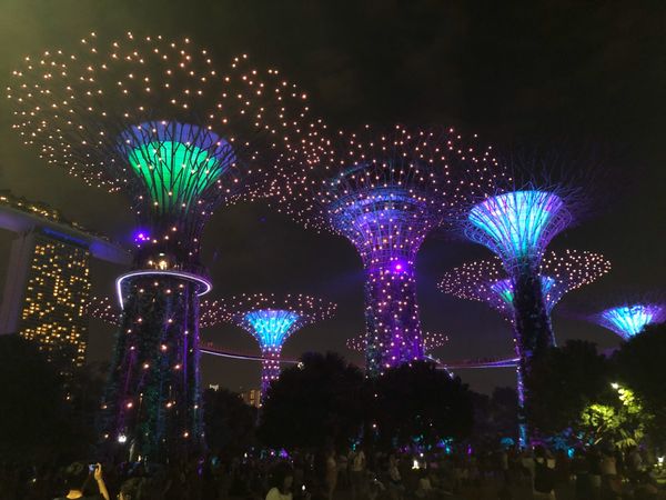 シンガポール「シンガポール旅」の写真：近未来的な巨大植物園「ガーデンズ・バイ・...