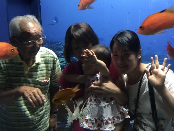 日本「「三津シーパラダイス＆ラブライブ」」の写真：ラブライブで、地域起こし！