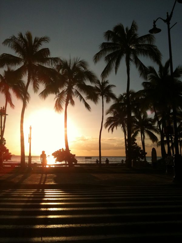 アメリカ(米国)「Oahu, HI🇺🇸🌺」の写真