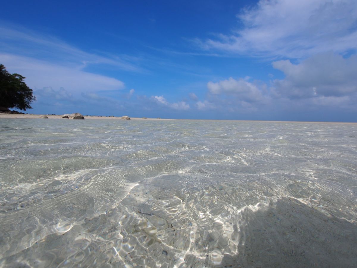 パラオの北部 ノースアイランドのホワイトサンドは笑っちゃうくらいの美しさです