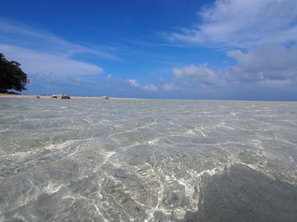 パラオ・コロール「パラオ　ダイビング三昧とホワイトビーチ！」の写真：パラオの北部 ノースアイランドのホワイト...