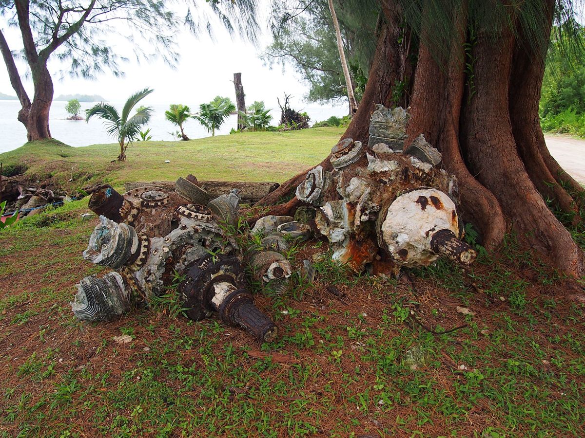 ペリリュー島は太平洋戦争の大激戦の島
日本軍の基地や発電所や空港等がそのま...