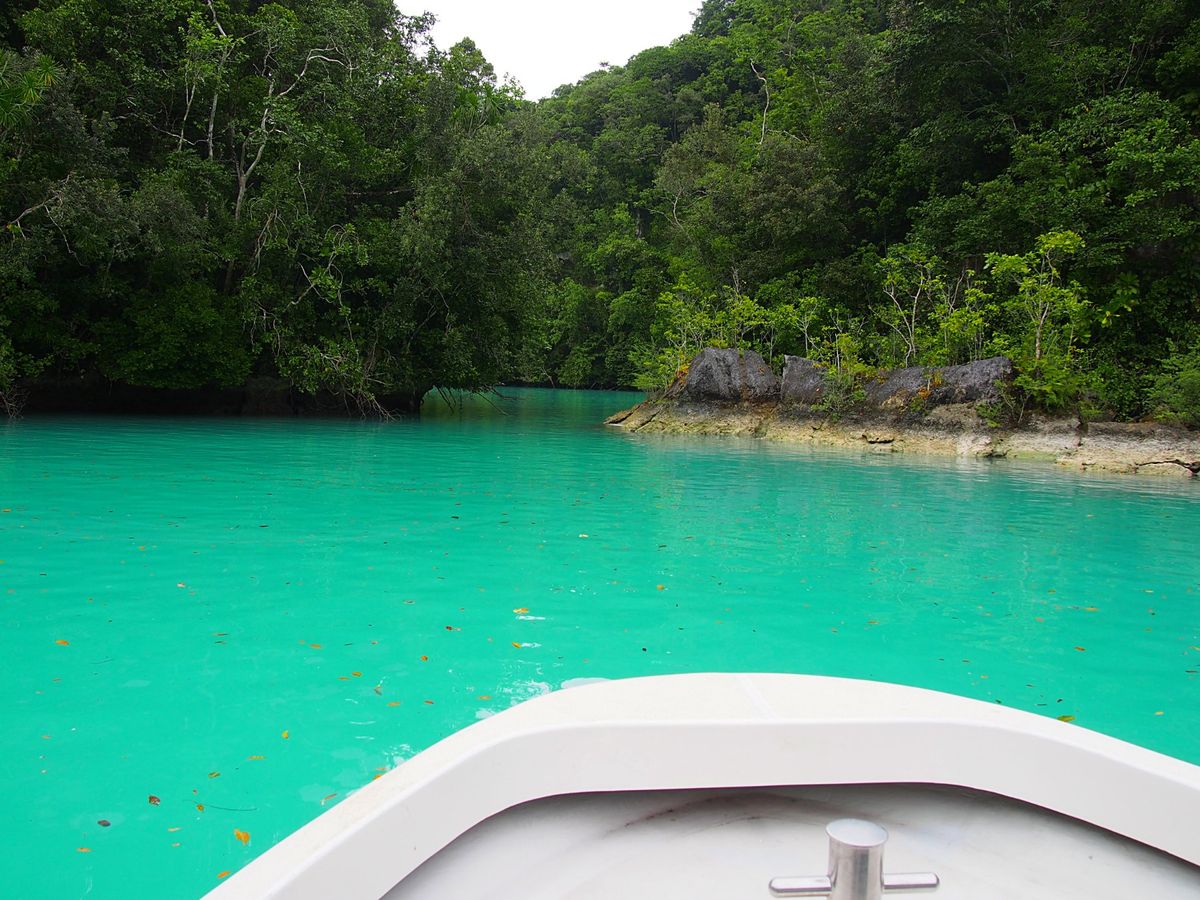 パラオ最大の島 バベルダオブ島は、かなり大きな島でレンタカーで探検
他にも...