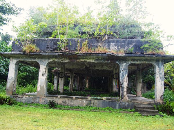 パラオ・コロール「パラオ　ダイビング三昧とホワイトビーチ！」の写真：ペリリュー島は太平洋戦争の大激戦の島
日...