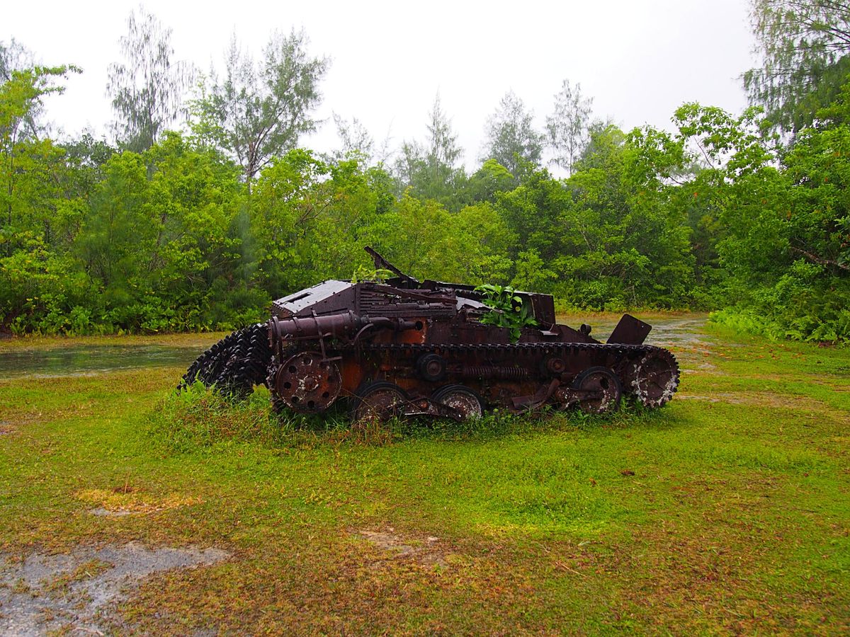 ペリリュー島は太平洋戦争の大激戦の島
日本軍の基地や発電所や空港等がそのま...