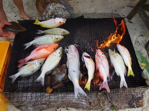 パラオ最大の島 バベルダオブ島は、かなり大きな島でレンタカーで探検
他にも...