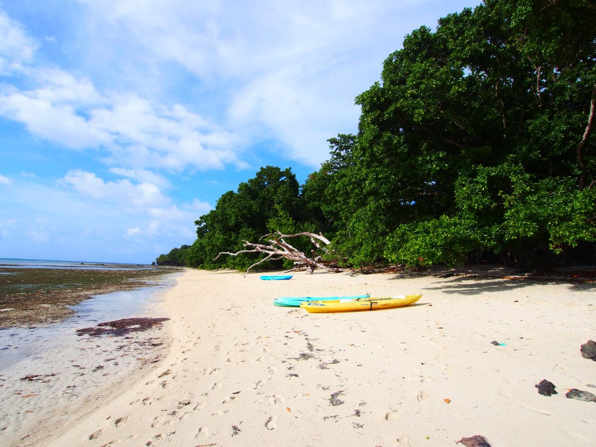 パラオの北部 ノースアイランドのホワイトサンドは笑っちゃうくらいの美しさです