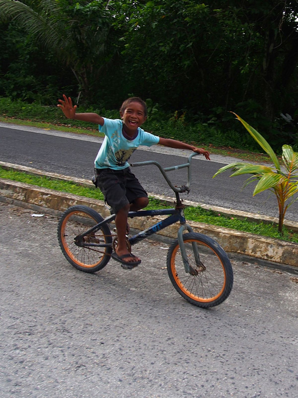 パラオ最大の島 バベルダオブ島は、かなり大きな島でレンタカーで探検
他にも...