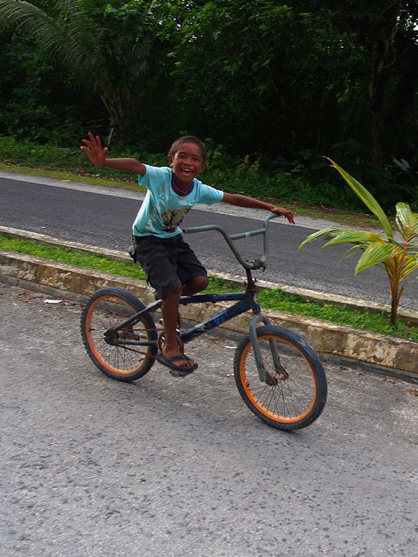 パラオ・コロール「パラオ　ダイビング三昧とホワイトビーチ！」の写真：パラオ最大の島 バベルダオブ島は、かなり...