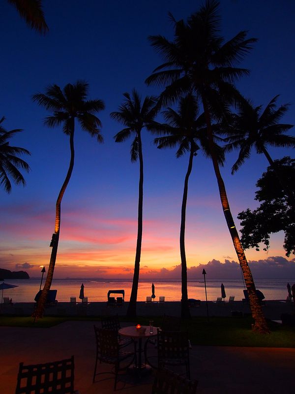 パラオ・コロール「パラオ　ダイビング三昧とホワイトビーチ！」の写真：パラオ最大の島 バベルダオブ島は、かなり...