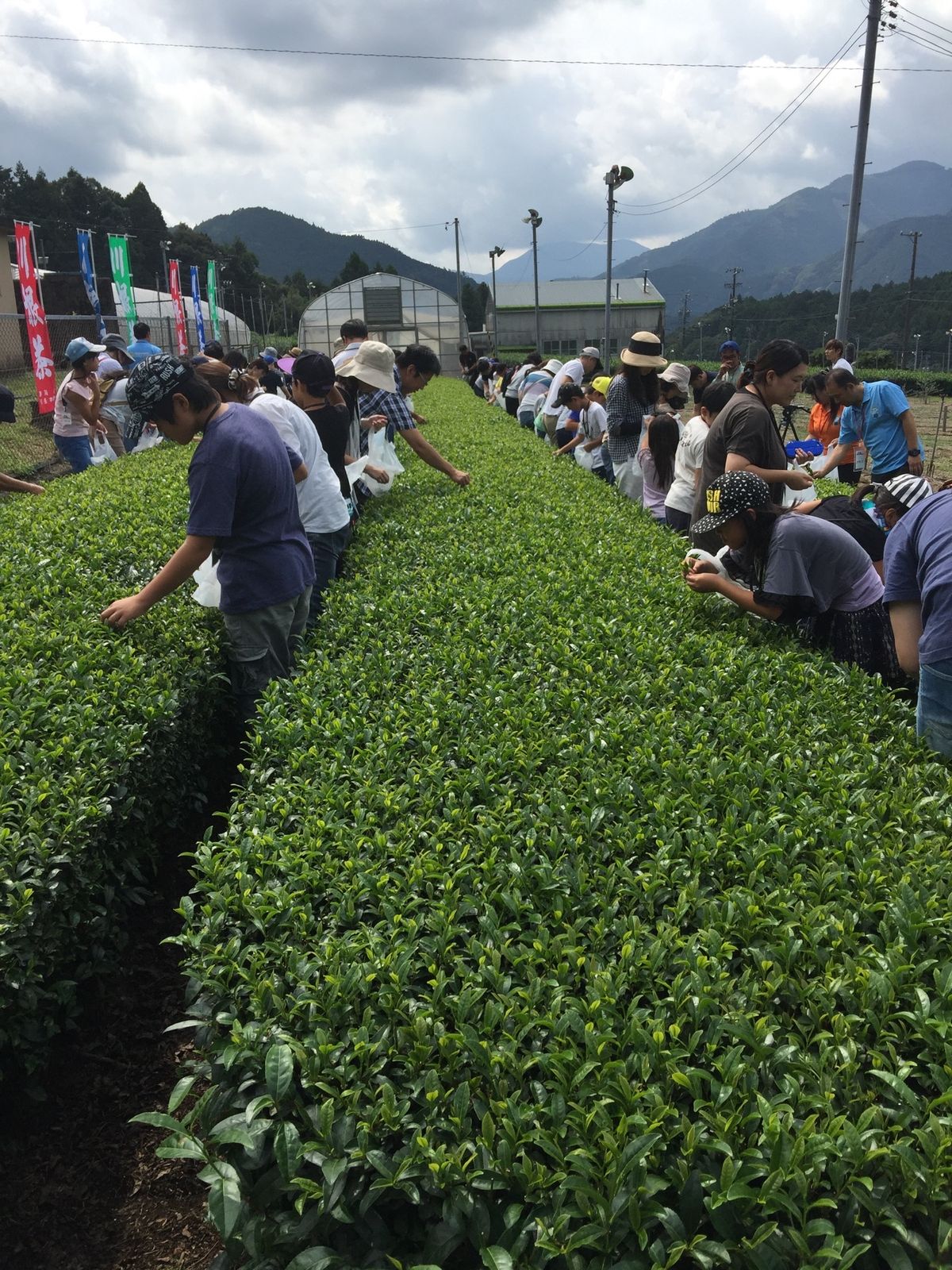 JA大井川の皆さん、大変お世話になりました