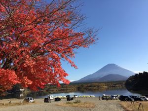 天気が良く、気持ちいい‼️