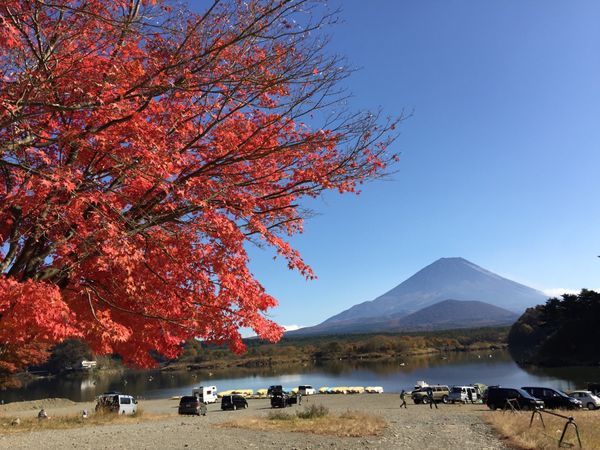 日本「「精進湖の紅葉　毎年同じ場所2017年」」の写真：天気が良く、気持ちいい‼️