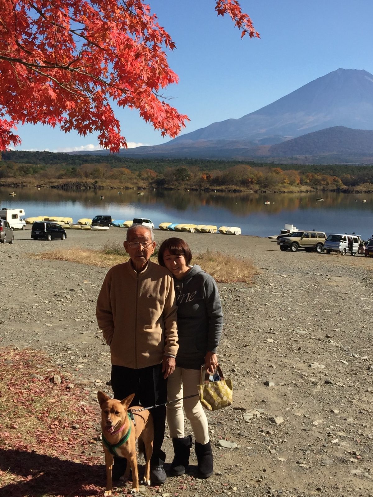 天気が良く、気持ちいい‼️