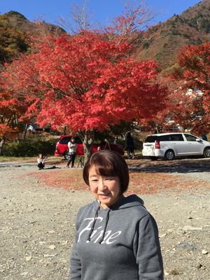 天気が良く、気持ちいい‼️