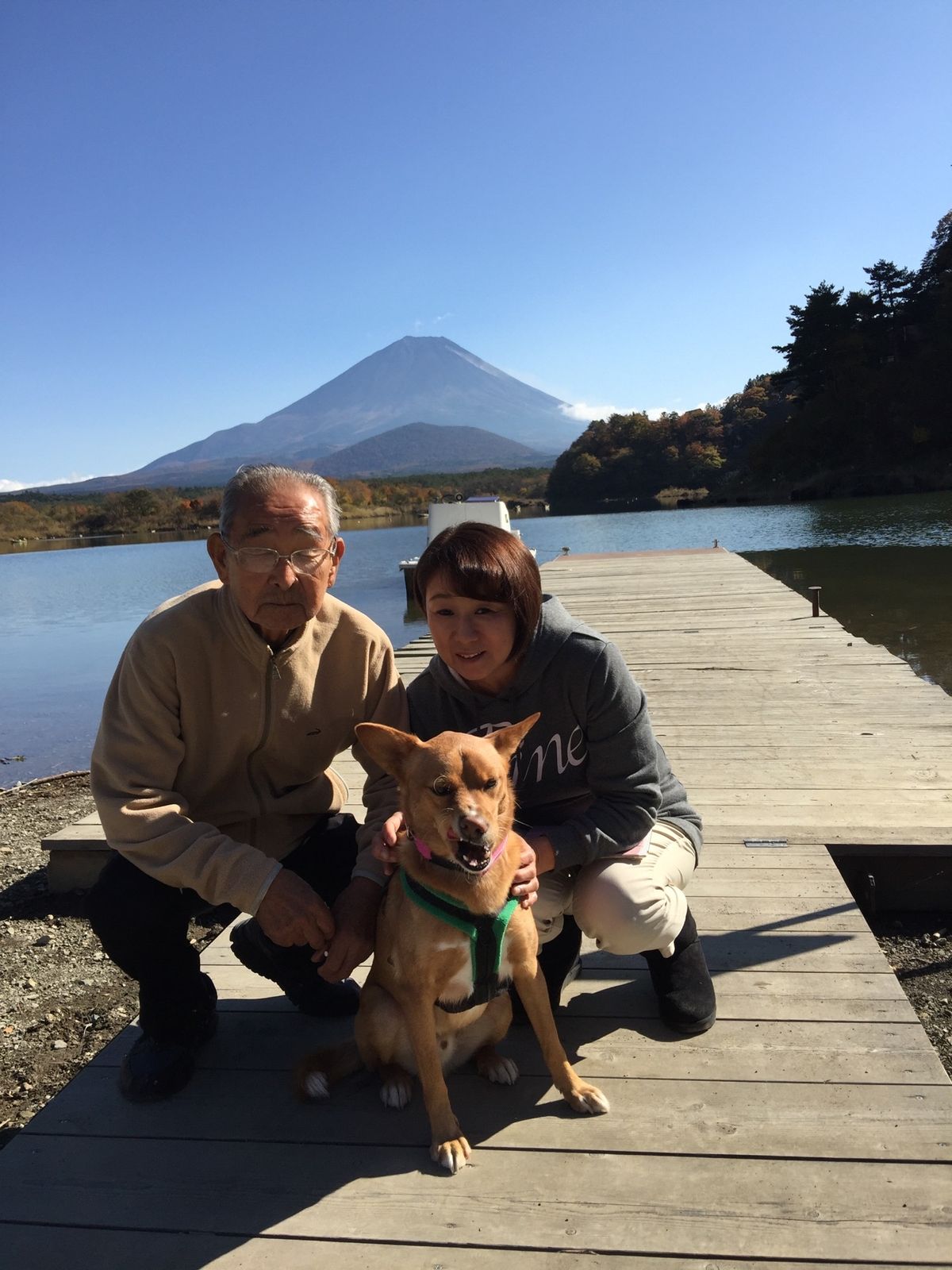 天気が良く、気持ちいい‼️