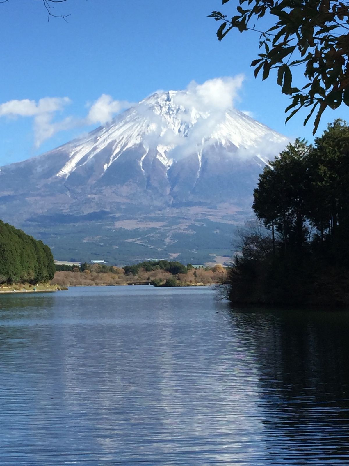 紅葉🍁と富士山🗻。鉄板‼️
富士宮市田貫湖。