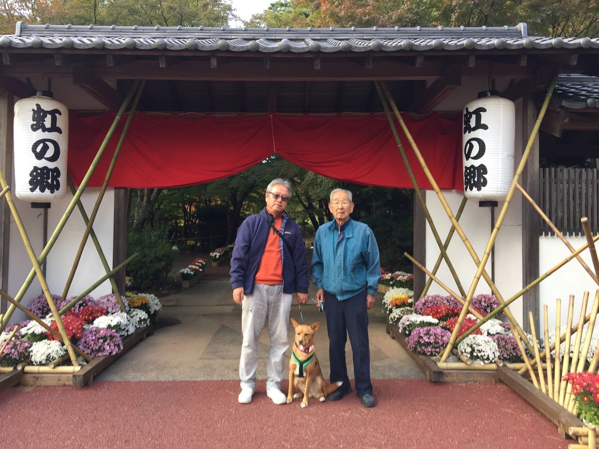 もうすぐクリスマス🎄