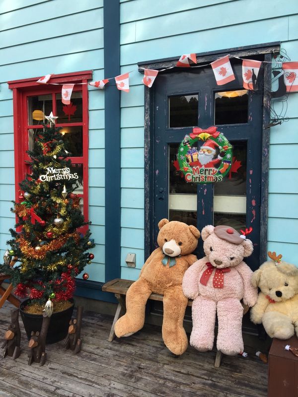 日本「「修善寺　虹の郷」」の写真：もうすぐクリスマス🎄