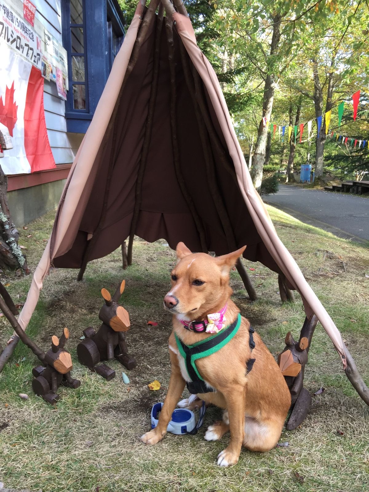 もうすぐクリスマス🎄